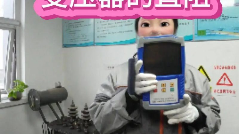 自动化仪表定制成功案例：揭秘定制化解决方案的奥秘